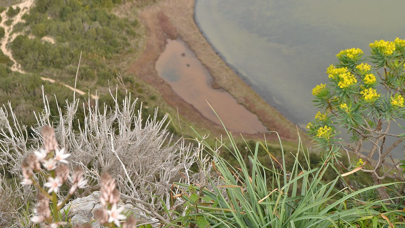 Gialova (Divari) lagoon wetland