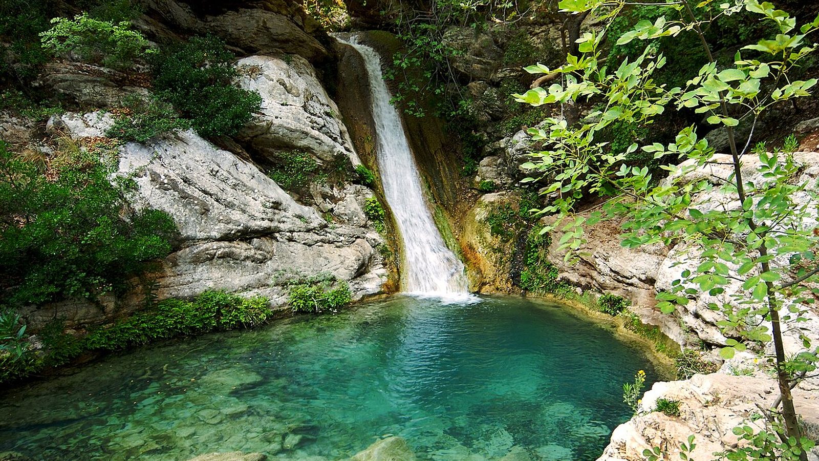 An emerald plunge pool at Polylimnio